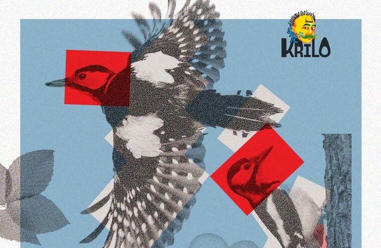 Krilo u Aquariusu krajem mjeseca predstavlja tri domaća benda