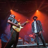 , credit: Predrag Kardum