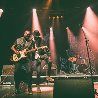 , credit: Predrag Kardum