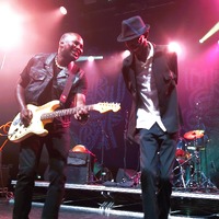 , credit: Predrag Kardum