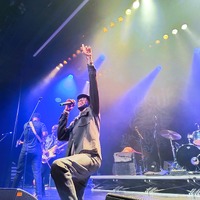 , credit: Predrag Kardum