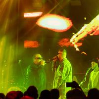 Bolesna Braća, credit: Sara Katnić