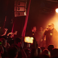 Bolesna Braća, credit: Sara Katnić