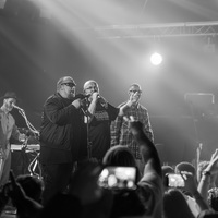 Bolesna Braća, credit: Sara Katnić