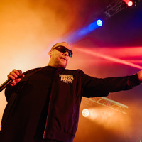 Bolesna Braća, credit: Sara Katnić