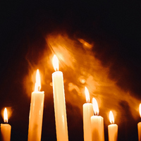 Coven, credit: Matea Marušić