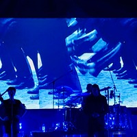 , credit: Predrag Kardum