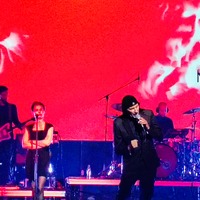 , credit: Predrag Kardum