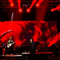 , credit: Predrag Kardum