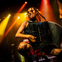 Gogol Bordello, credit: Filip Bušić