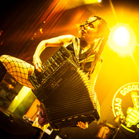 Gogol Bordello, credit: Filip Bušić