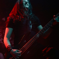 Greynoise, credit: Patricija Flikač