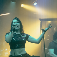 Greynoise, credit: Patricija Flikač