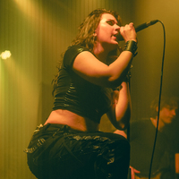 Greynoise, credit: Patricija Flikač