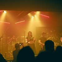 Greynoise, credit: Patricija Flikač