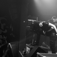 Greynoise, credit: Patricija Flikač