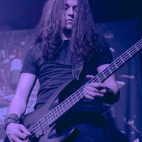 Greynoise, credit: Patricija Flikač