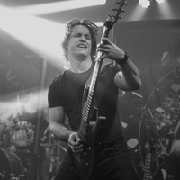 Greynoise, credit: Patricija Flikač