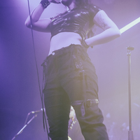 Greynoise, credit: Patricija Flikač