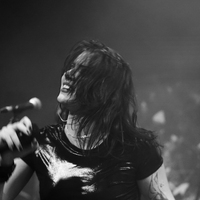 Greynoise, credit: Patricija Flikač