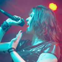 Greynoise, credit: Patricija Flikač