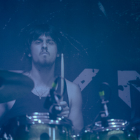 Greynoise, credit: Patricija Flikač