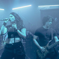 Greynoise, credit: Patricija Flikač