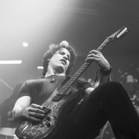 Greynoise, credit: Patricija Flikač