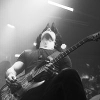 Greynoise, credit: Patricija Flikač