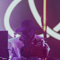 INmusic festival, credit: Patricija Flikač