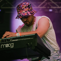 INmusic festival, credit: Patricija Flikač