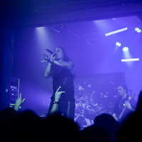 Kryn, credit: Patricija Flikač