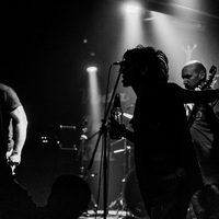 Motus, credit: Marko Josipović