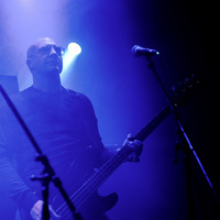 Pankreas, credit: Marko Josipović