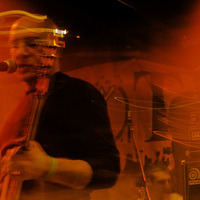 Pankreas, credit: Marko Josipović