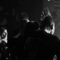 Pankreas, credit: Marko Josipović