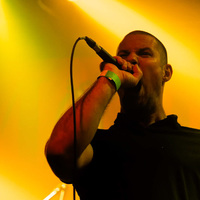 Pankreas, credit: Marko Josipović