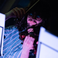 Paul the Walrus, credit: Vilim Hlušička