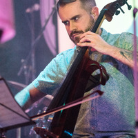 Paul the Walrus, credit: Vilim Hlušička