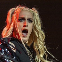 Pips, Chips & Videoclips, credit: Zvonimir Bregeš