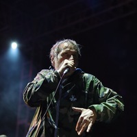 Pips, Chips & Videoclips, credit: Zvonimir Bregeš