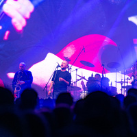 Sacher, credit: Filip Bušić