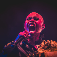 Skunk Anansie, credit: Filip Bušić