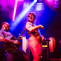 Split Dogs, credit: Filip Bušić