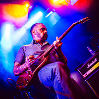 Split Dogs, credit: Filip Bušić