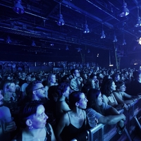 Tash Sultana, credit: Tomislav Zemanek