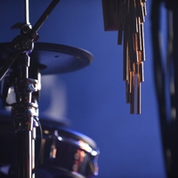 Tash Sultana, credit: Tomislav Zemanek