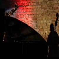 The Necks, credit: Zvonimir Bregeš