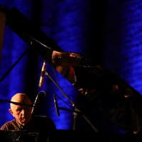 The Necks, credit: Zvonimir Bregeš