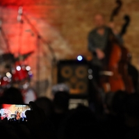 The Necks, credit: Zvonimir Bregeš